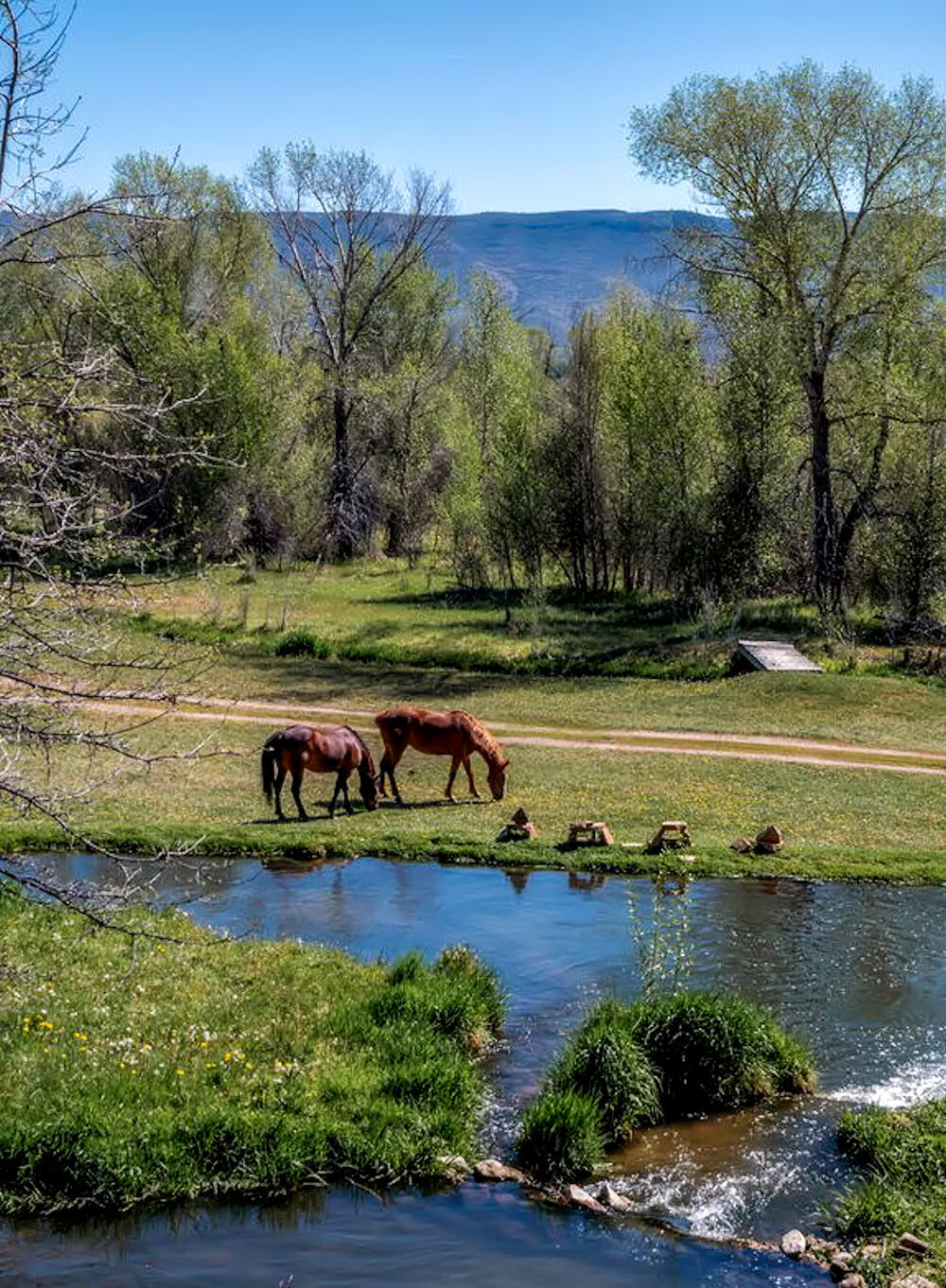 addiction therapy in UTAH