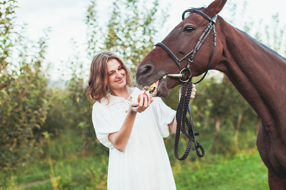 woman feeding a horse during equine therapy in Utah