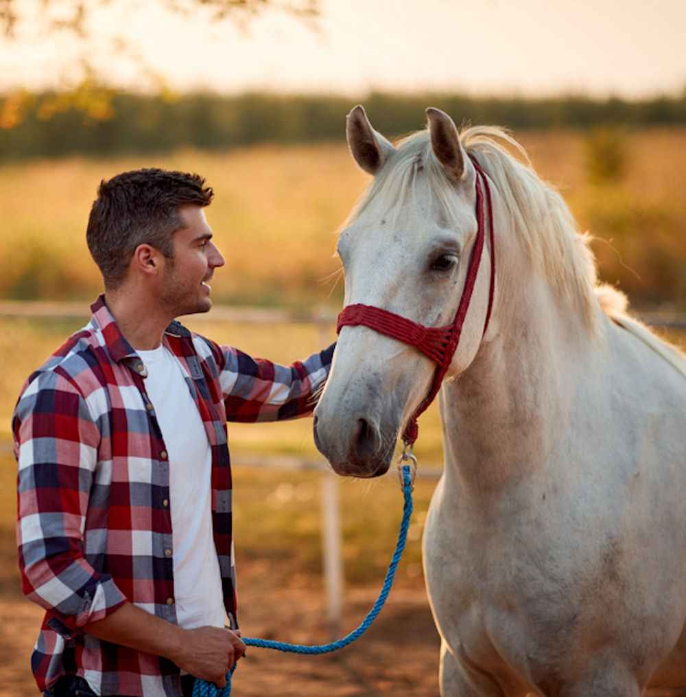 man earning trust from horse during equine therapy session