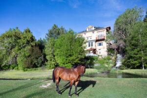 horse in front of Acqua Recovery residential rehab in Utah