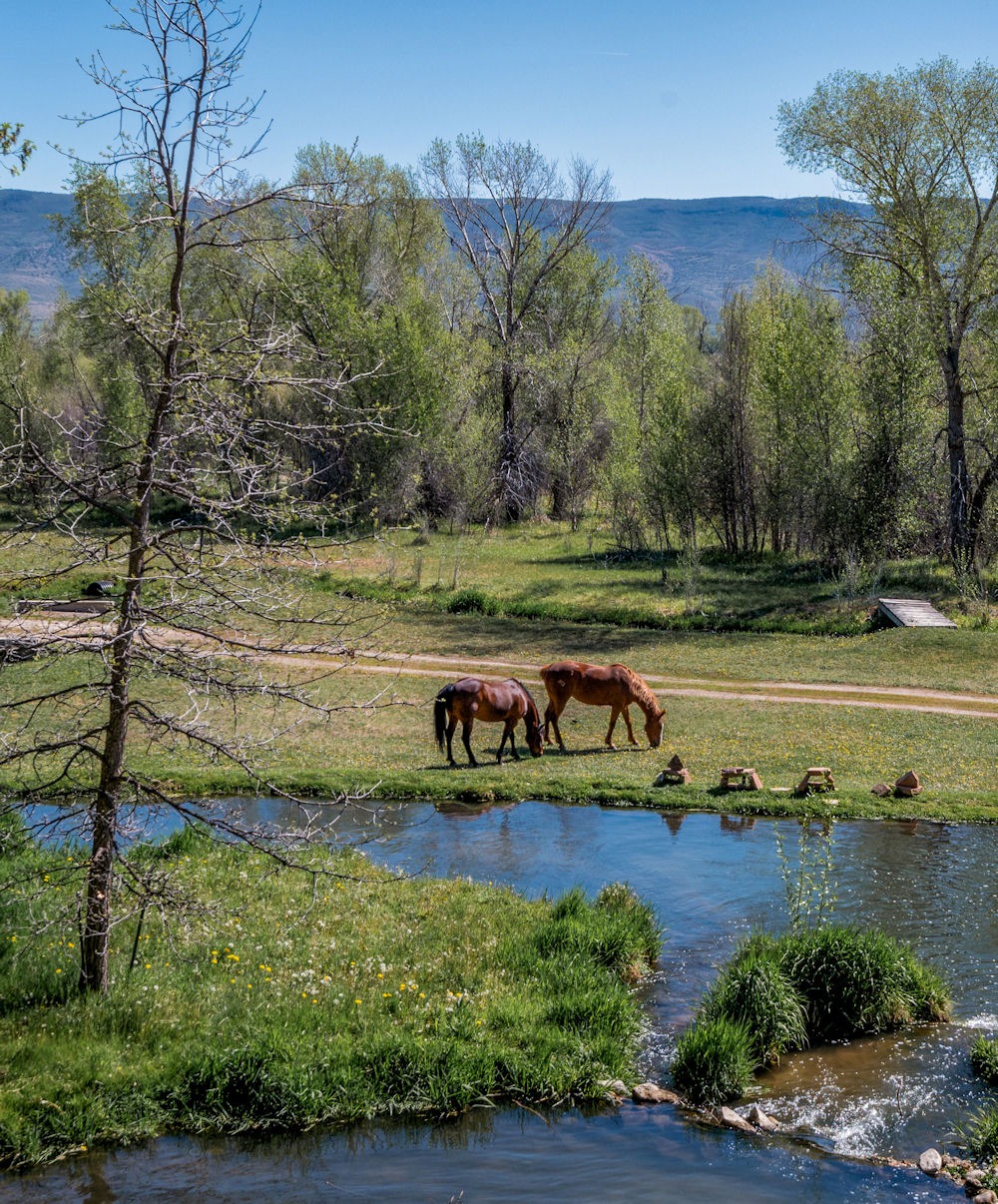Acqua Recovery's campus with horses in Utah